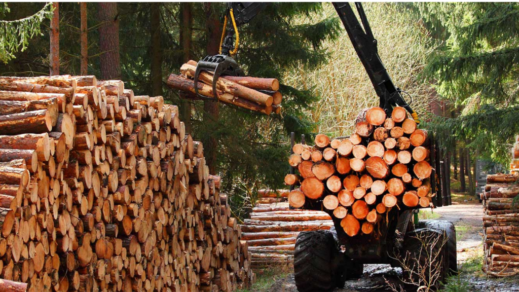 Sustainable Wood
